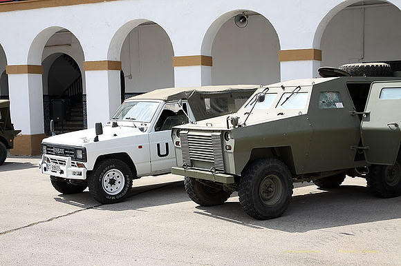 MuseoVivo2023049