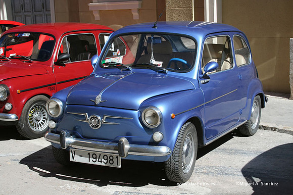 Chiva052