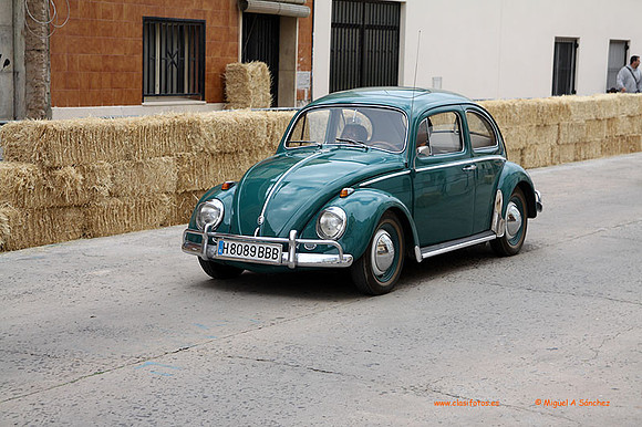 AgroGuadassuar0048