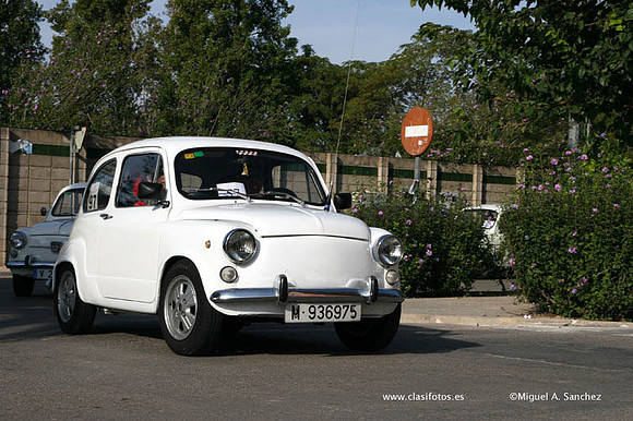 IConcentracionSollana0215
