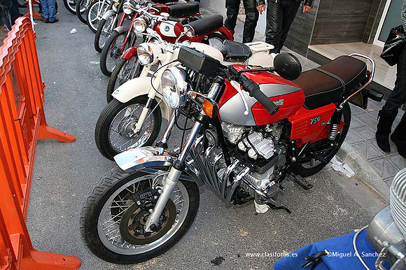 Rotova2009134
