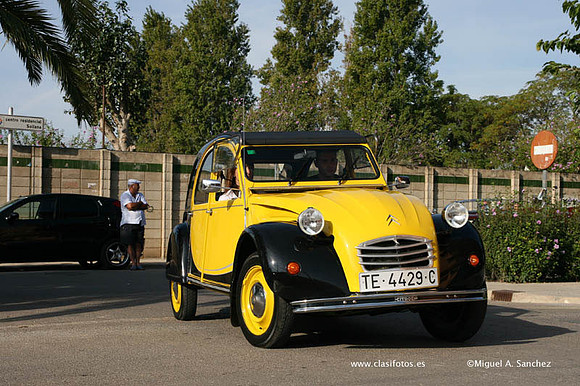IConcentracionSollana0166