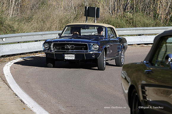VIConcTorrent147