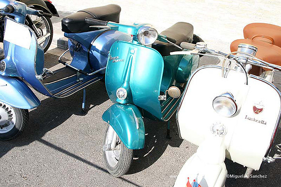 Rotova2009096