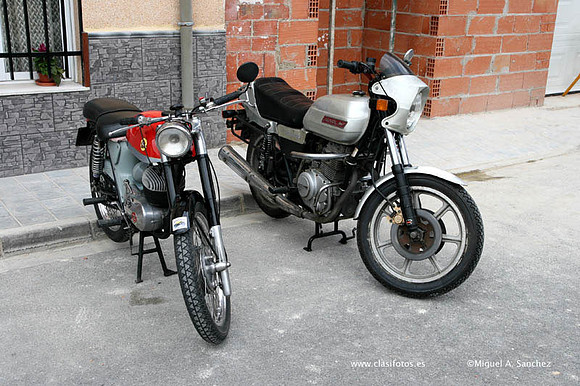 Rotova2008001