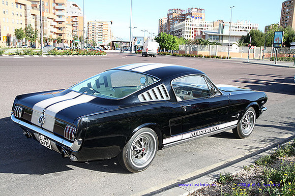 CabalgadaMustang344