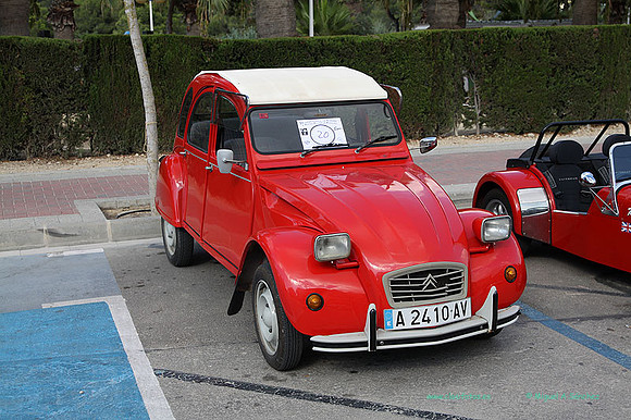 IIConcMoraira039