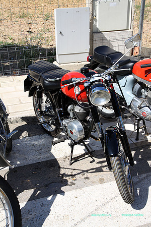 IConcentracionMacastre036
