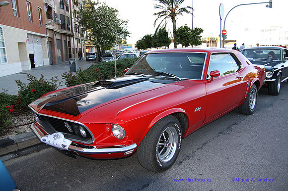 CabalgadaMustang349