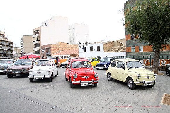 IIConcChiva045