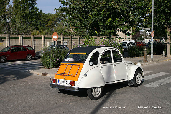 IConcentracionSollana0135