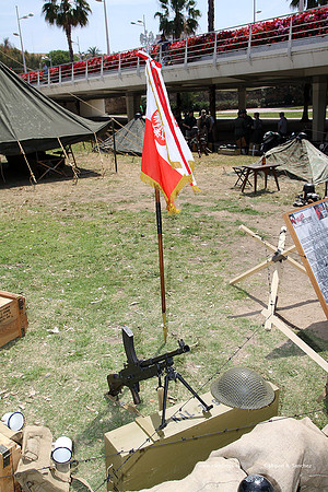 MuseoVivo2012045