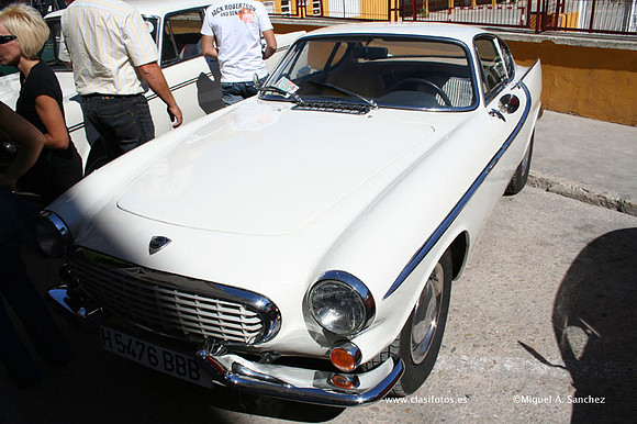 Chiva012