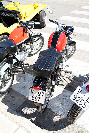 IConcentracionMacastre040