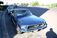 CabalgadaMustang345