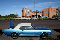 CabalgadaMustang362