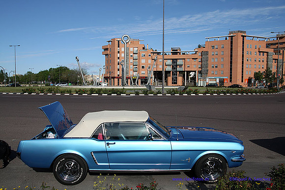 CabalgadaMustang362
