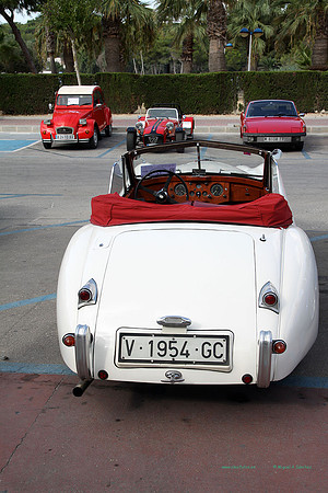 IIConcMoraira059