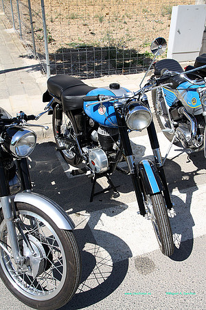 IConcentracionMacastre034