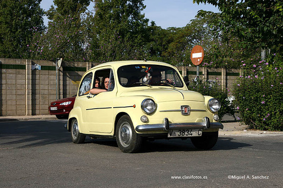 IConcentracionSollana0238