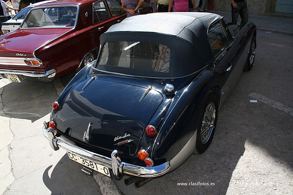 Chiva111