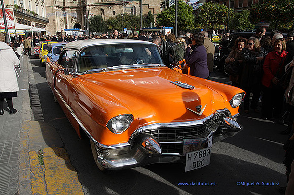 IGuardiaUrbanoSolidario239