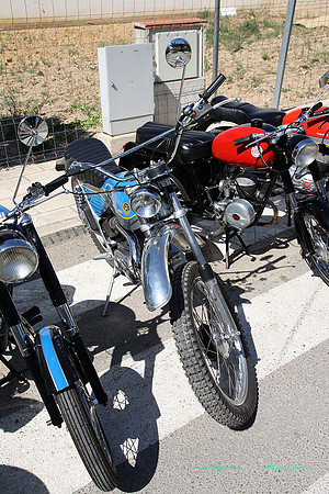 IConcentracionMacastre035