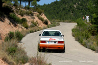 RallyeCiudaddeValencia0011