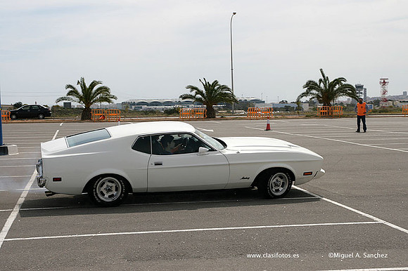 AnticAuto2010376