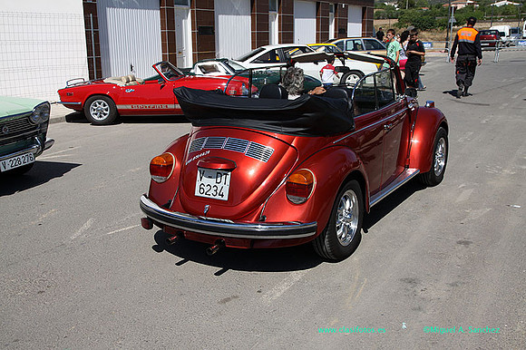 IConcentracionMacastre055