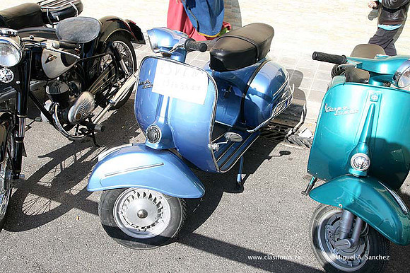 Rotova2009097