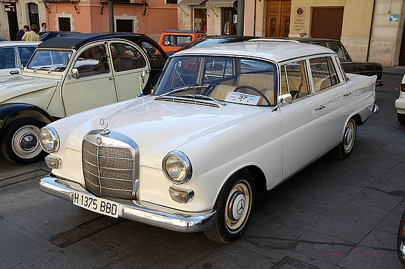 XCocConcentaina027