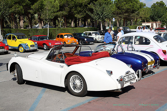 IIConcMoraira111