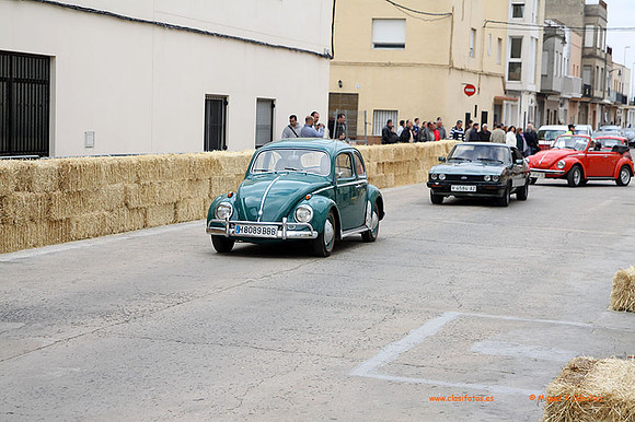 AgroGuadassuar0047