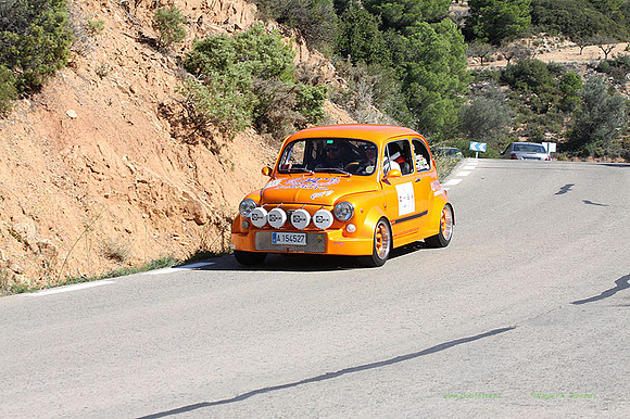 Tourist Trophy491