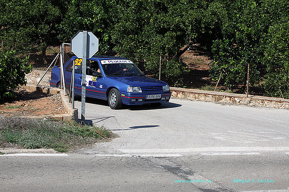 VIIRallyGandia436