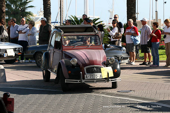VConcGandia263