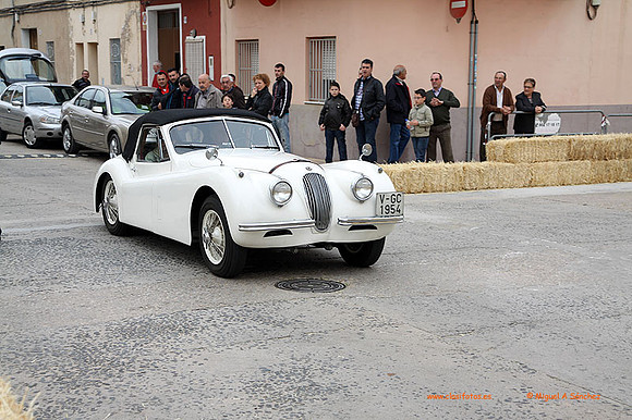 AgroGuadassuar0018