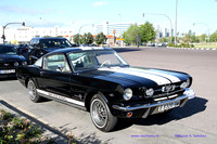 CabalgadaMustang343