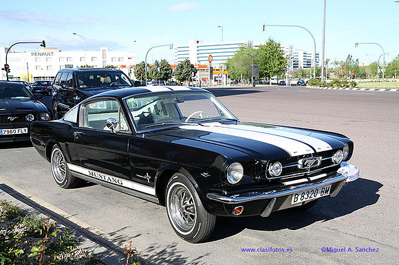 CabalgadaMustang343