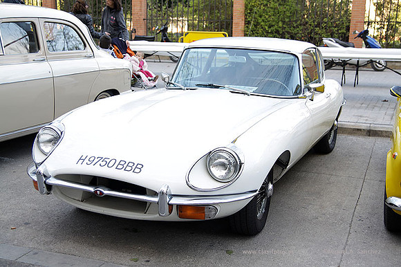 IConLaNovaOrriols039