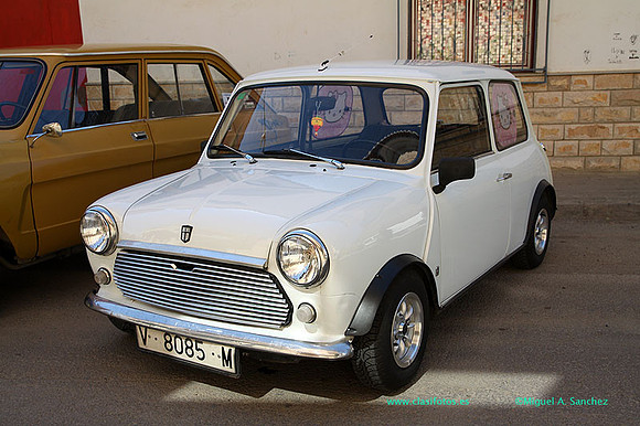 IConcentracionMacastre019