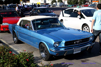 CabalgadaMustang364