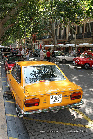 ConcentracionDenia2006113