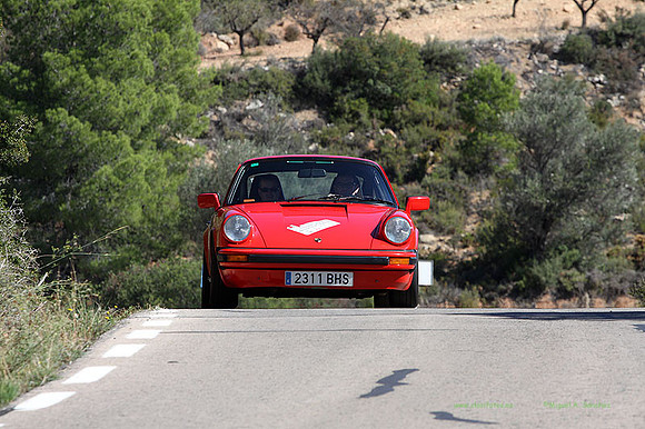 Tourist Trophy421