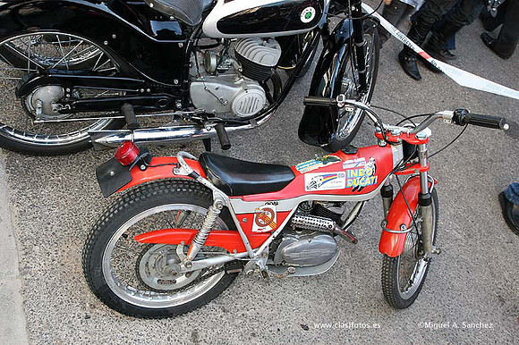 Rotova2009131