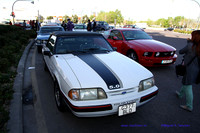 CabalgadaMustang359