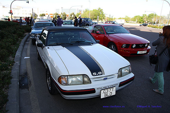CabalgadaMustang359