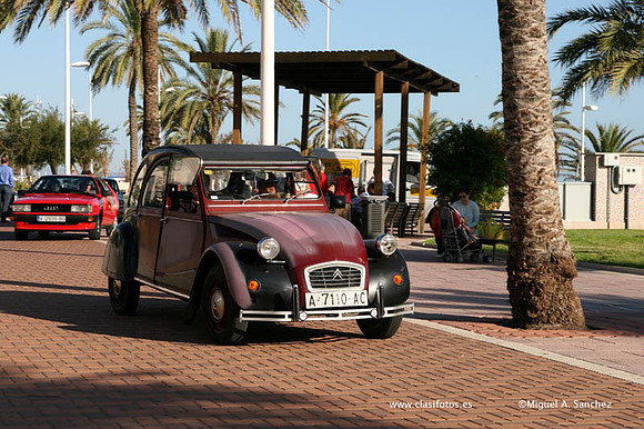VConcGandia127