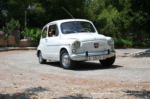 ConcentracionDenia2006132